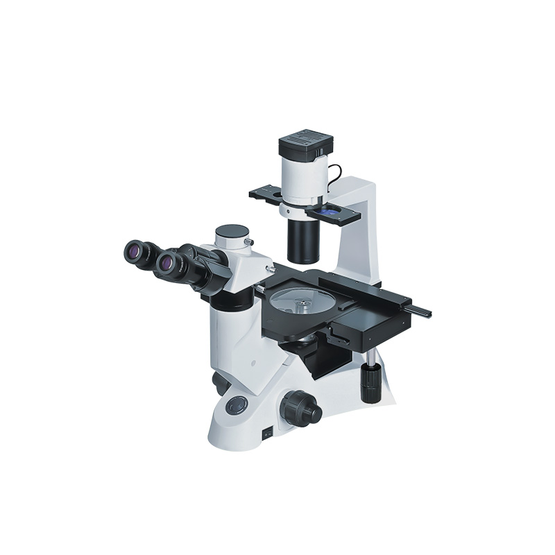 BIOBASE manufacturer product photograph of fluorescence biological microscope (BFM-100)