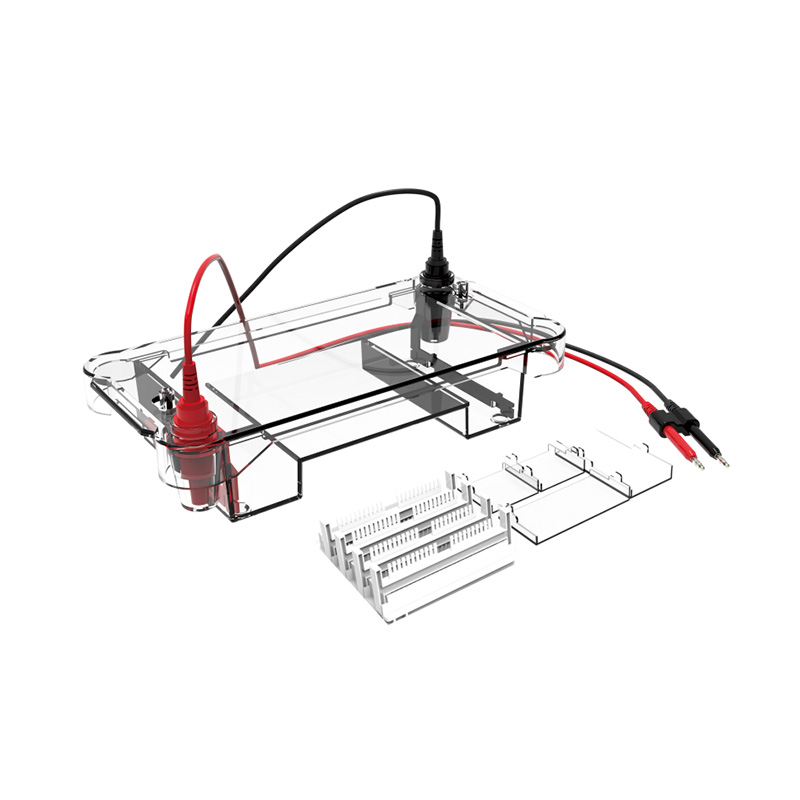 Horizontal Electrophoresis Tank BK-HET02
