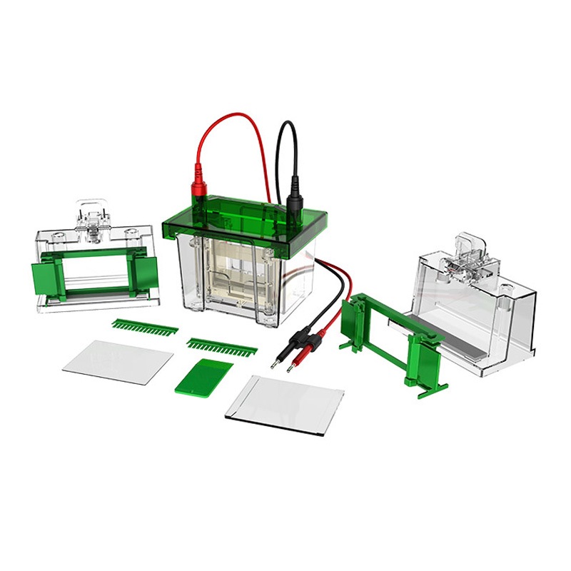 BIOBASE BK-VET01 vertical electrophoresis tank and accessories