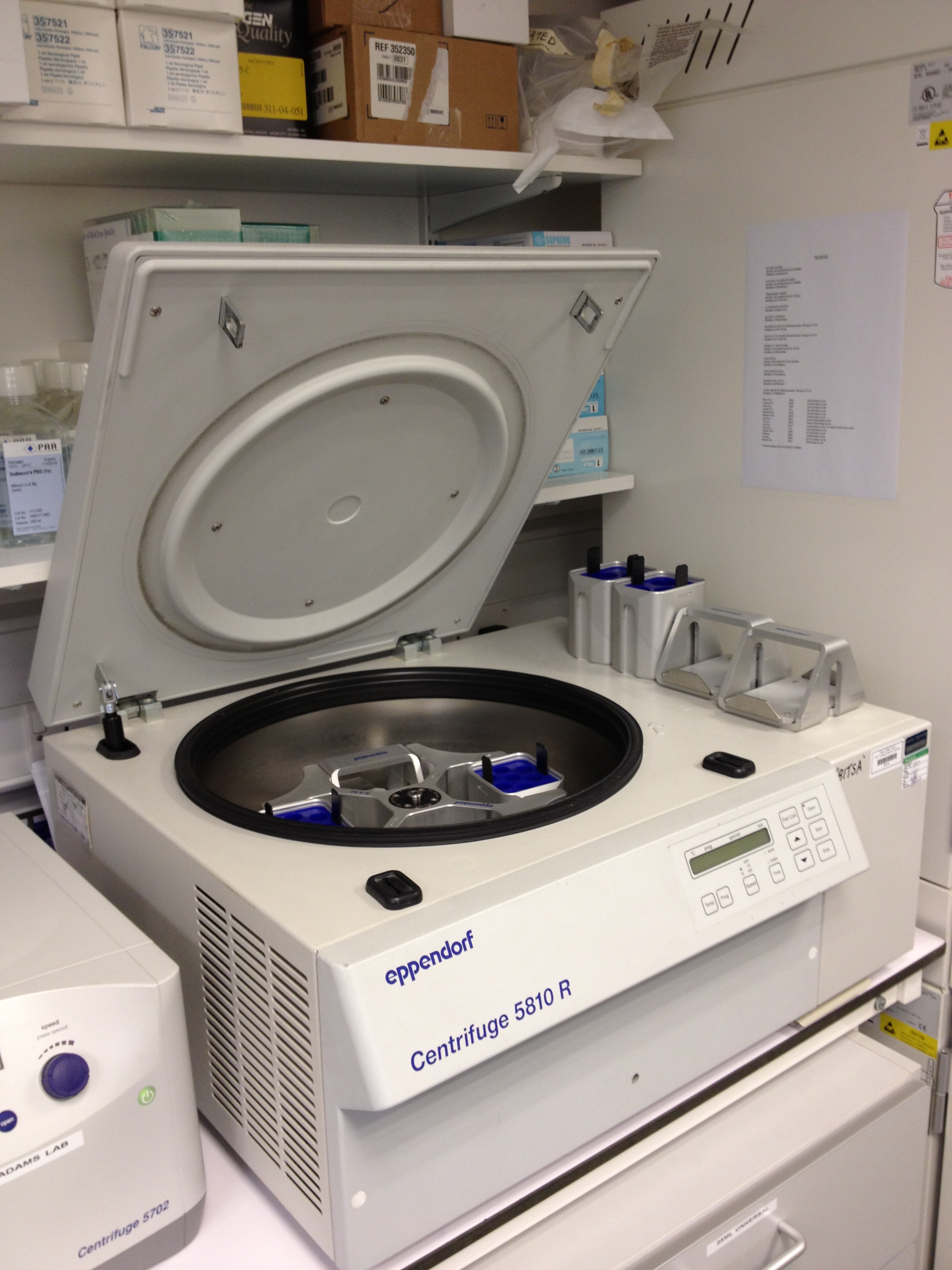 Eppendorf Centrifuge 5810 R refrigerated laboratory centrifuge, photographed in a laboratory