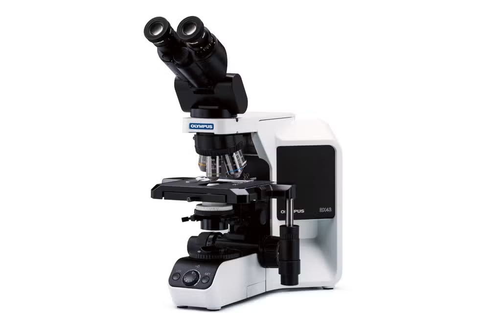 Evident BX43 upright microscope