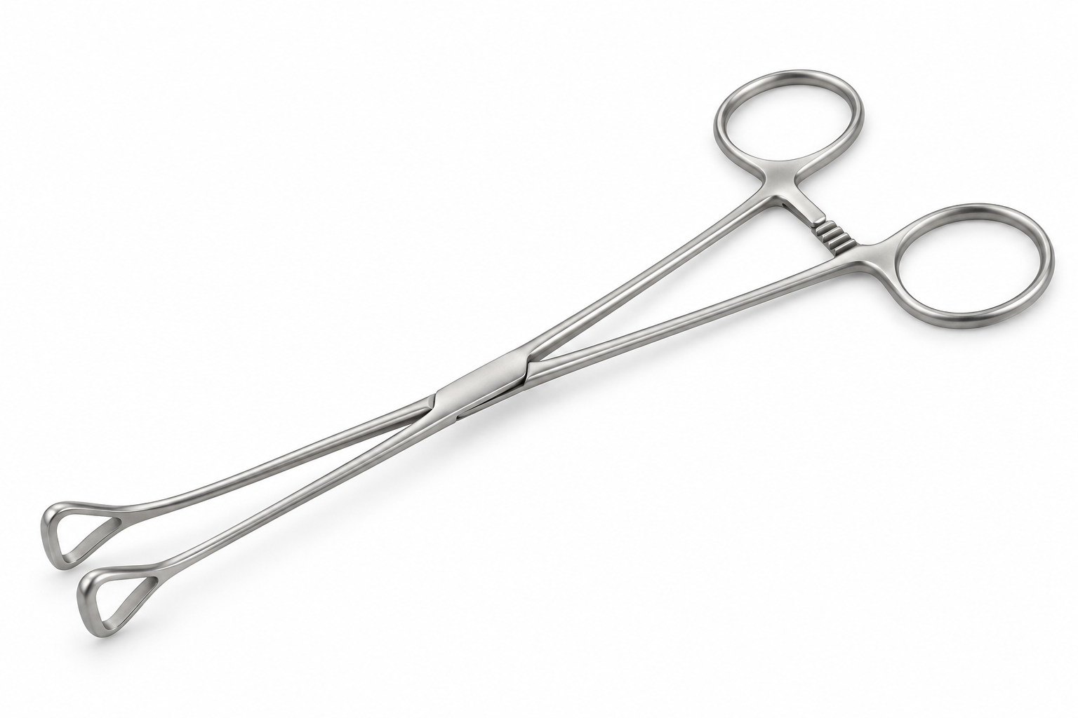 Generic Babcock-pattern organ-holding forceps with fenestrated jaws equipment class
