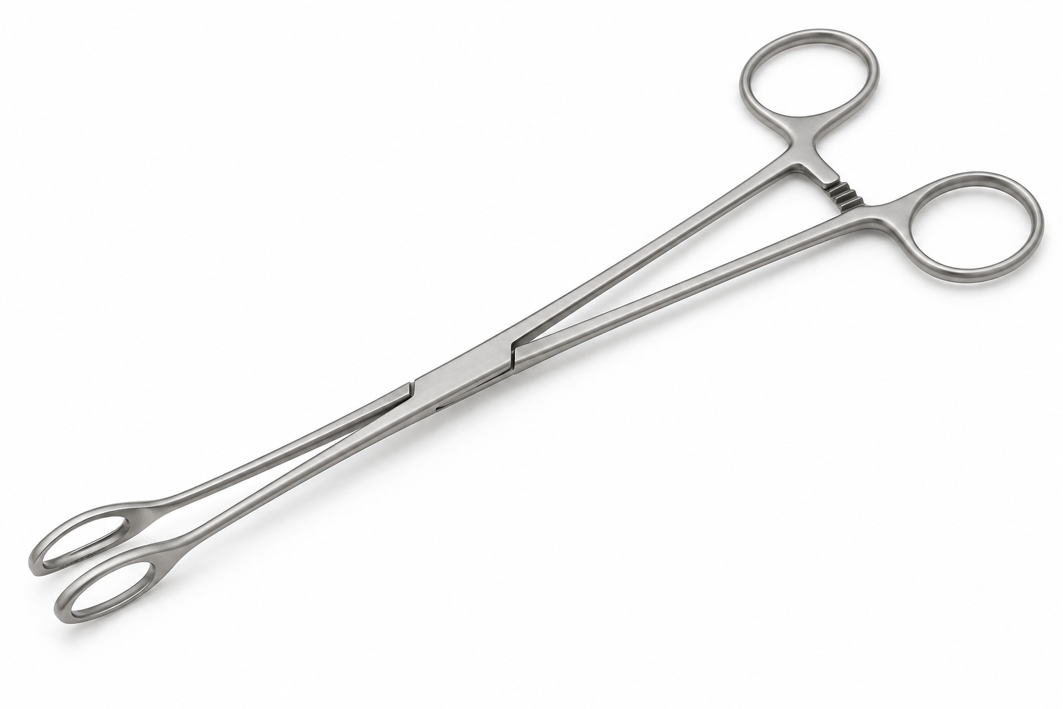 Generic Foerster-pattern sponge-holding forceps with oval ring jaws equipment class