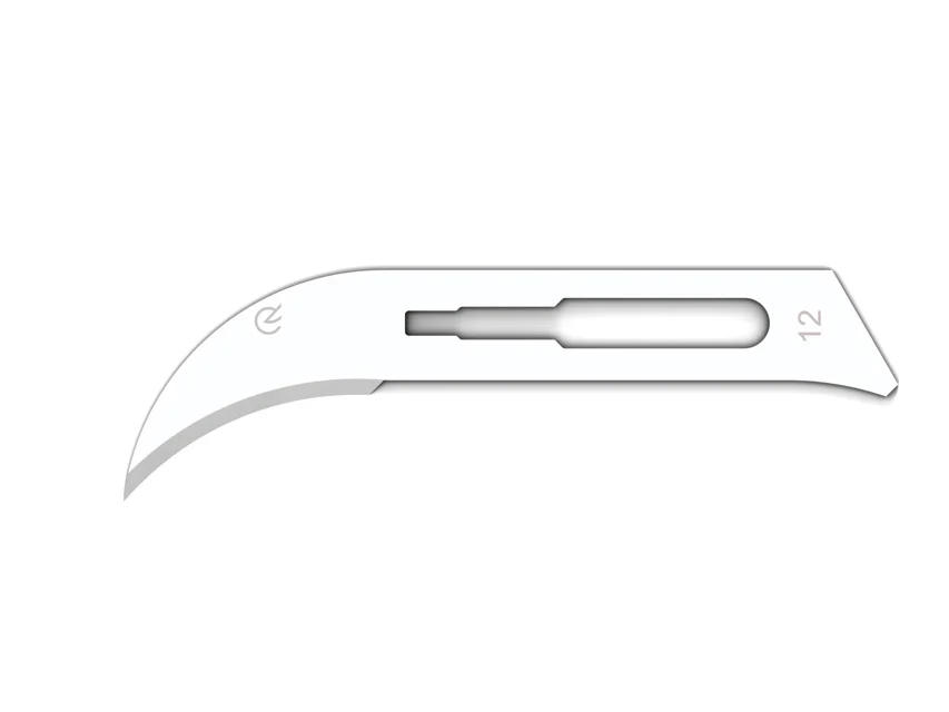 Official GIMA catalogue image for GIMA CARBON STEEL BLADES N. 12 - sterile, article 27002