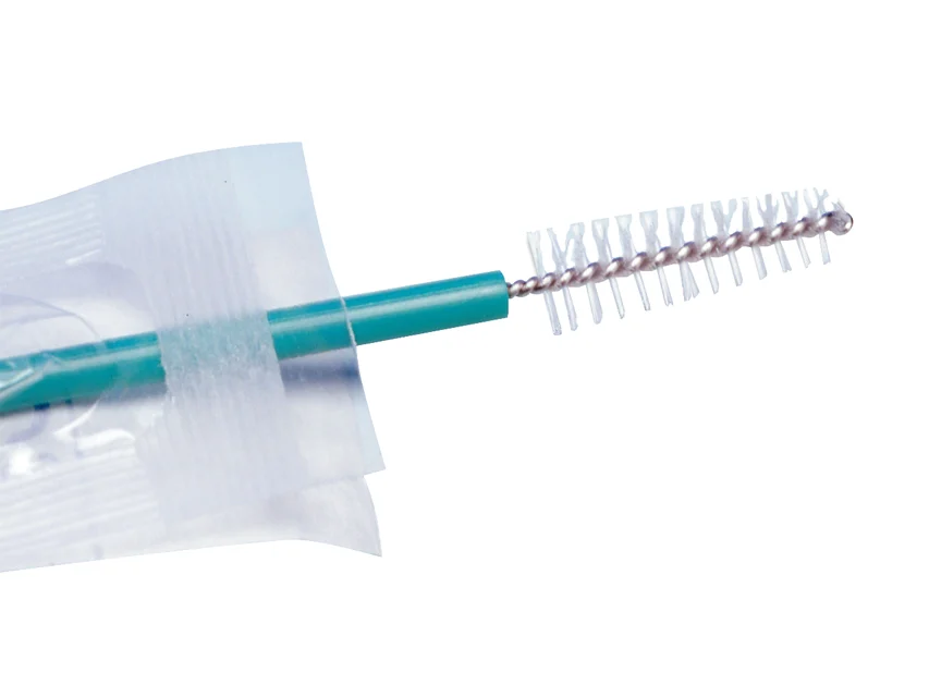 GIMA catalogue image for GIMA BRUSH - sterile, article 29742
