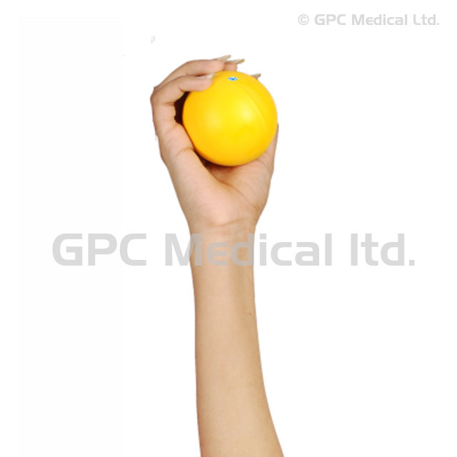 GPC Medical Exercise Ball FA120l