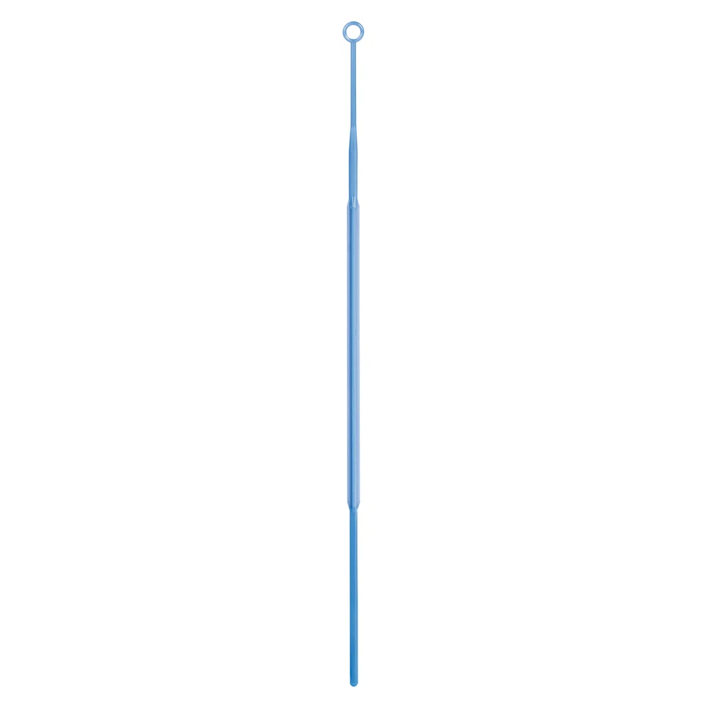 86_1562_010_WEB_WBG.PNG