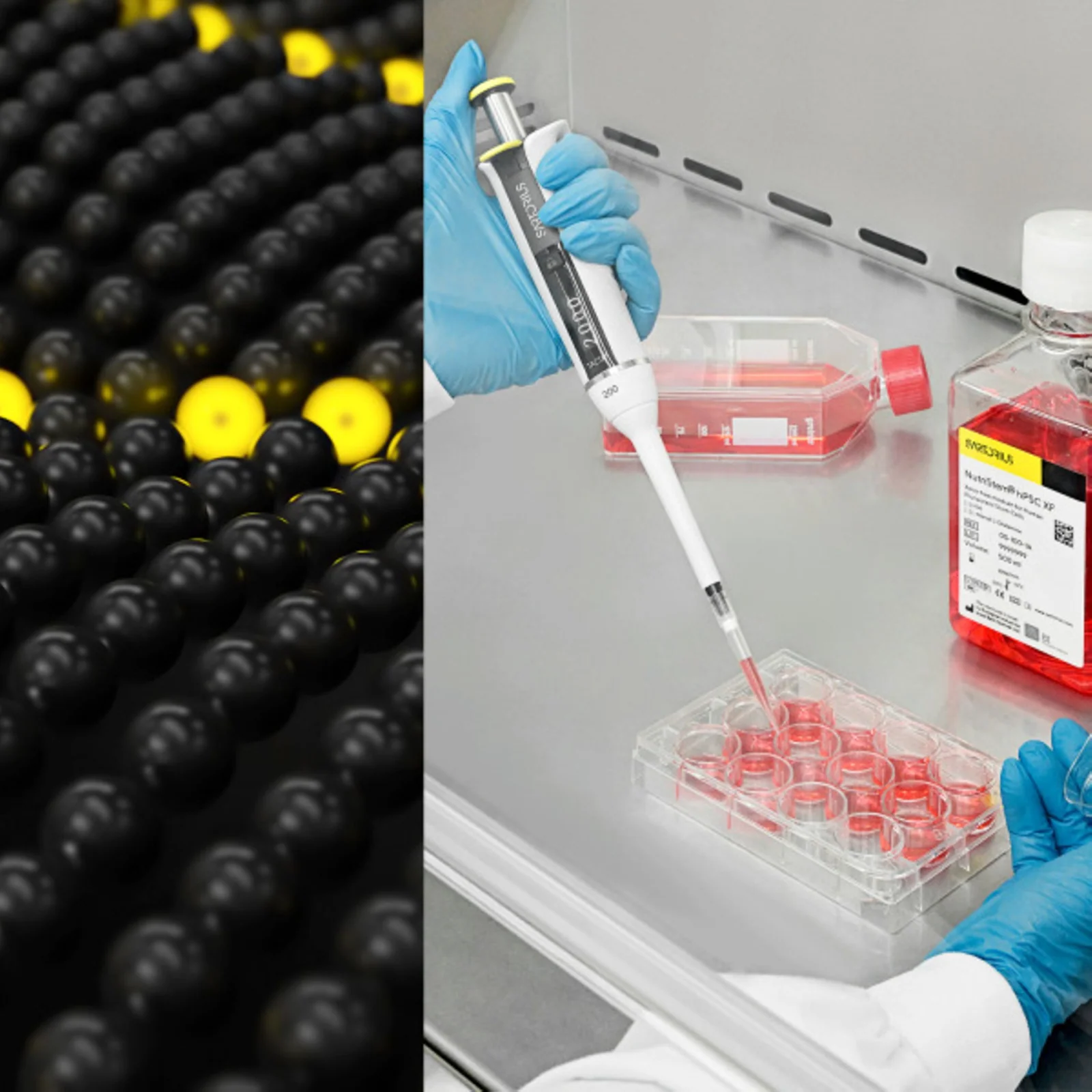 Stem Cell Culture Media
