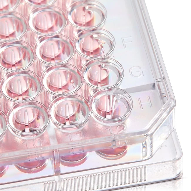 BioLite™ Microwell Plates
