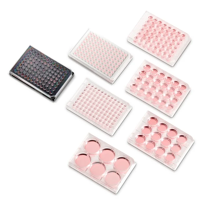 BioLite™ 96W Optical Bottom, Cell Culture-treated Plates with Lid