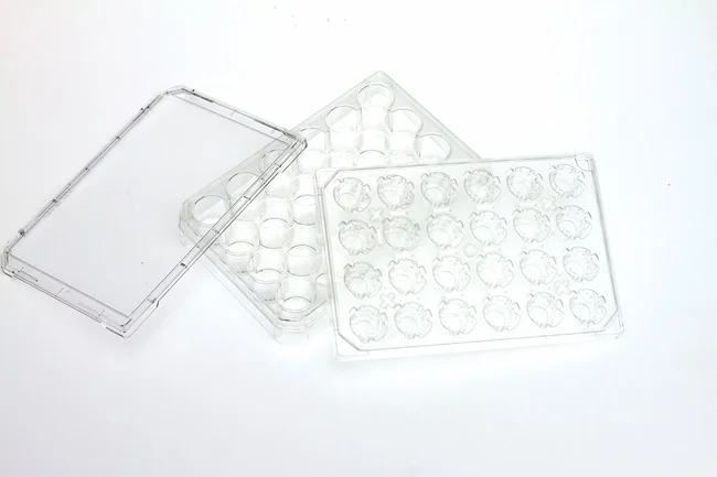 Nunc™ Cell Culture Inserts in Carrier Plate Systems