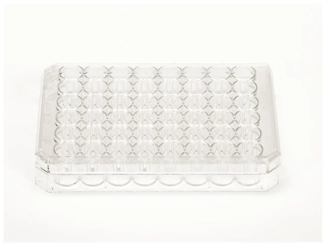 Nunc™ Cell-Culture Treated Multidishes
