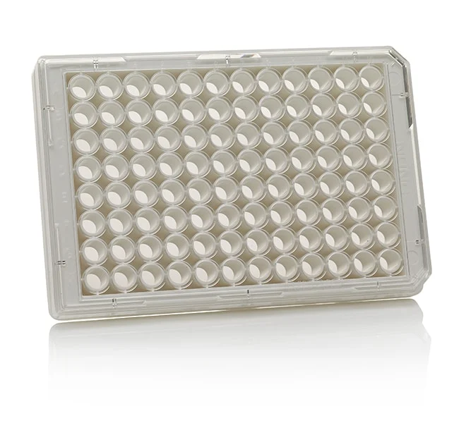 Nunc™ MicroWell™ 96-Well, Poly-D Lysine-Treated, Flat-Bottom, Optical Polymer Base Microplate