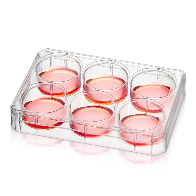 Nunc™ Poly-D-Lysine or Collagen I Coated Multidishes
