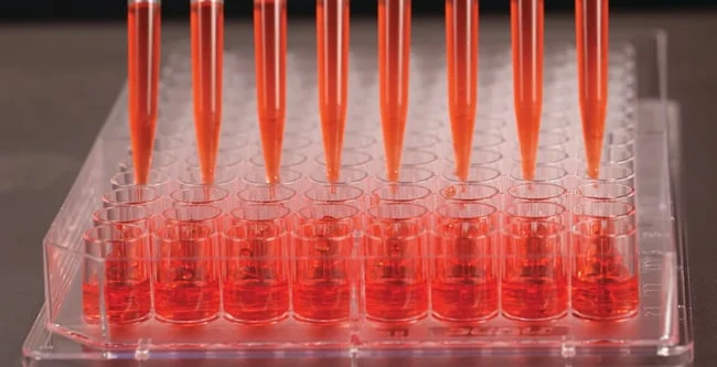 Nunc™ Edge™ 96-Well, Nunclon Delta-Treated, Flat-Bottom Microplate