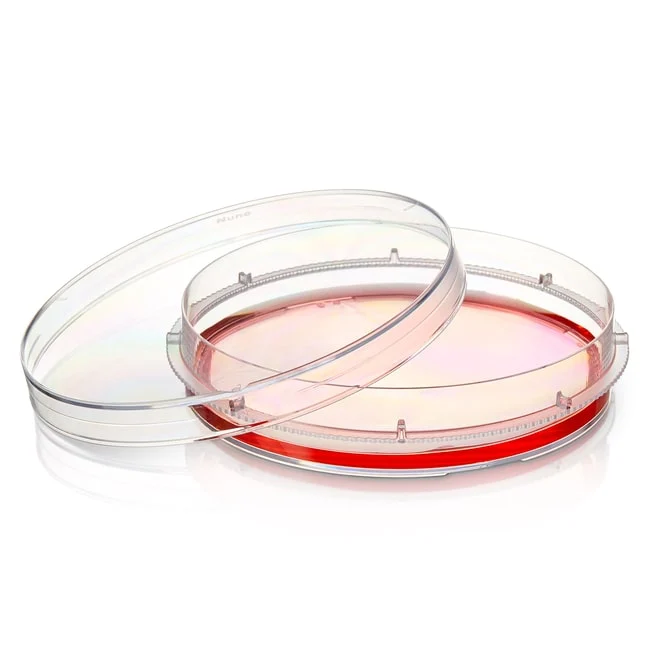 Nunc™ Dishes with UpCell™ Surface