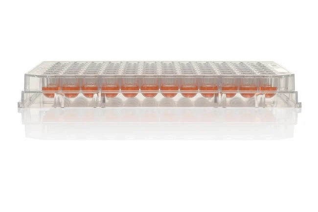 Nunclon™ Sphera™ 96-Well, Nunclon Sphera-Treated, U-Shaped-Bottom Microplate