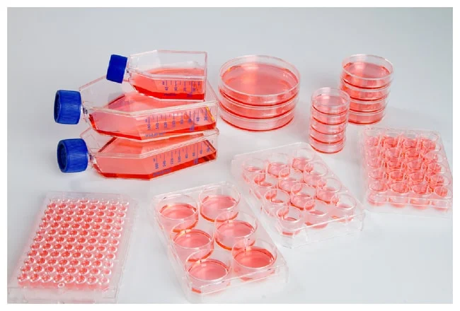 Nunclon™ Sphera™ Low-Attachment Dishes