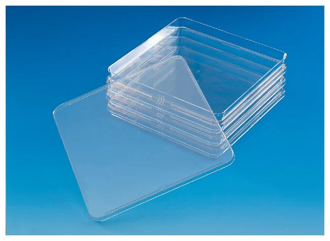 Nunc™ Square BioAssay Dishes