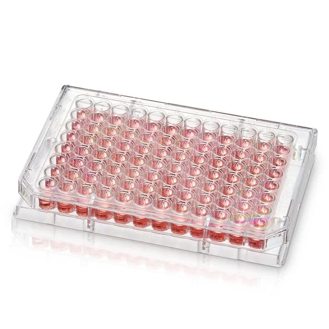 Nunc™ 96-Well Polystyrene Round Bottom Microwell Plates