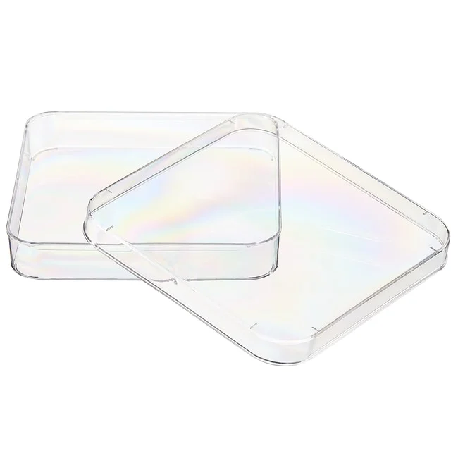 Nunc™ Lab-Tek™ Petri Dishes