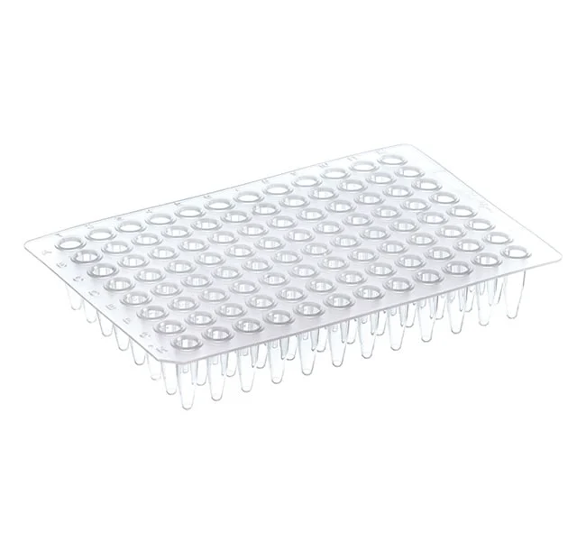 PCR Plate, 96-well, non-skirted, Sustain™ Series