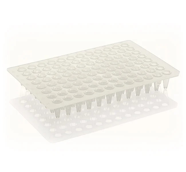 PCR Plate, 96-well, low profile, non-skirted, black lettering