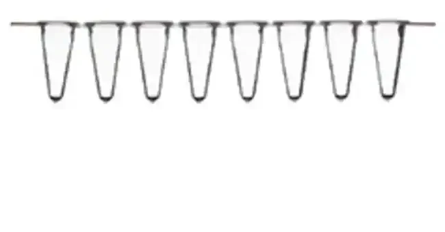 Thermo Fisher catalogue image for Low Profile Tubes, strips of 8 (AB0771)