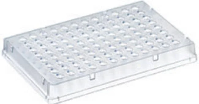 PCR Plate, 96-well, low profile, skirted, blue