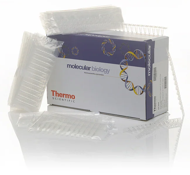 Thermo Fisher catalogue image for Low Profile Tubes and Flat Caps, strips of 12 (AB0849)