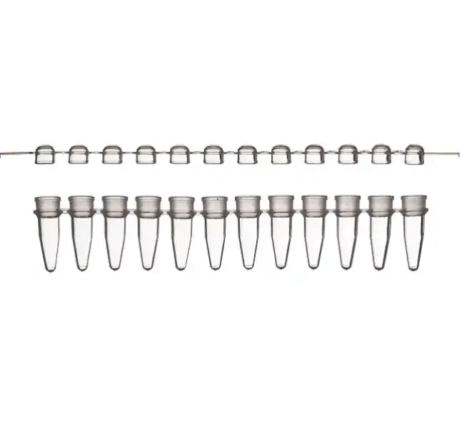 Thermo Fisher catalogue image for Tubes and Domed Caps, strips of 12 (AB1113)