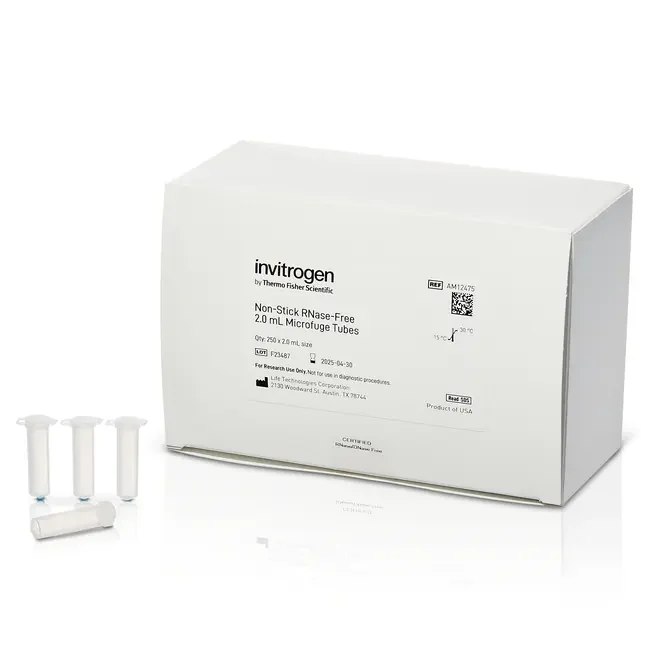 Thermo Fisher catalogue image for RNase-free Microfuge Tubes (AM12475)