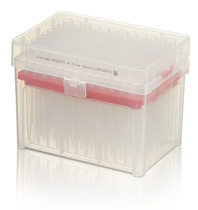 Thermo Fisher catalogue image for RNase-free Tips, 1000 μL size (AM12660TS)