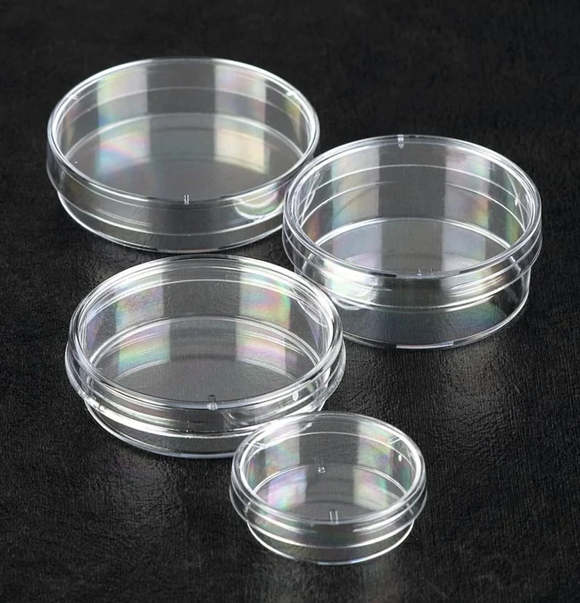 Sterilin™ Petri Dish, 55 mm, round, no vents