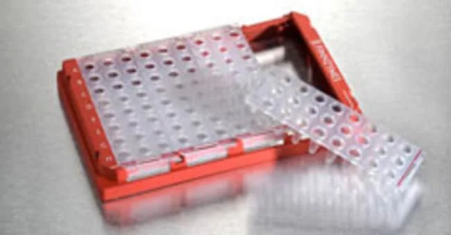 Piko PCR Plate, 24-well, clear