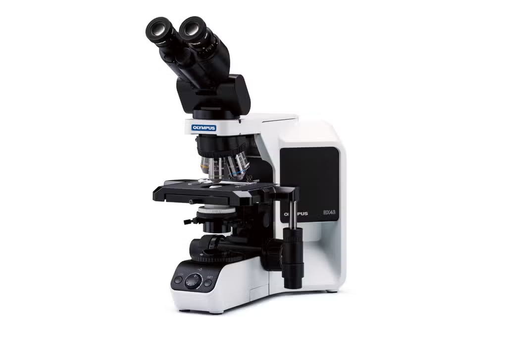 Evident BX43 upright microscope, an Olympus product line, shown in the official manufacturer image
